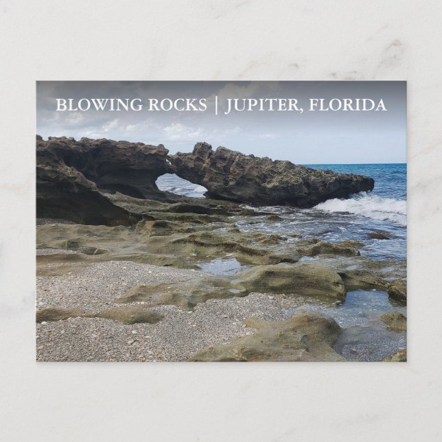 Jupiter Island Florida Blowing Rocks Preserve Postcard (Front)