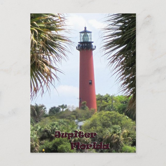 Jupiter Lighthouse through the Palms Postcard (Front)