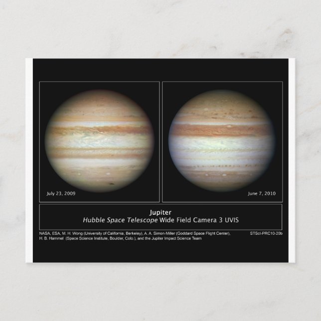 Jupiter Print June 7, 2010 Postcard (Front)