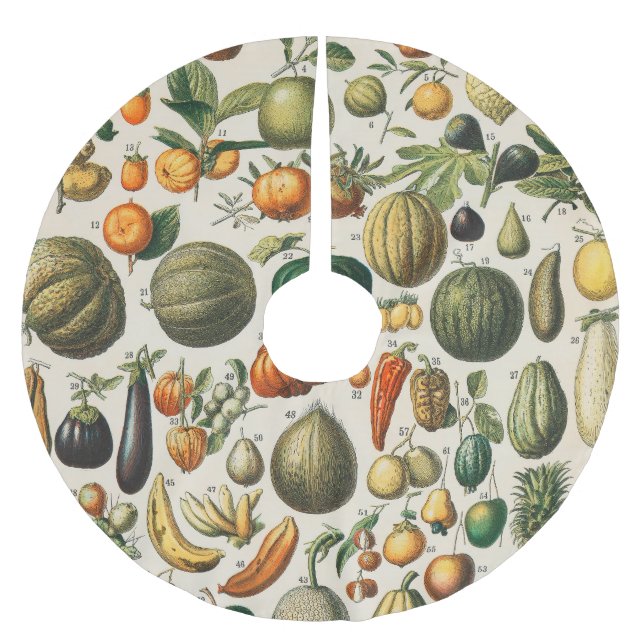 Jupon De Sapin En Polyester Brossé Illustration scientifique végétale des fruits (Devant)