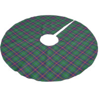 Tartan écossais de jeunes de clan