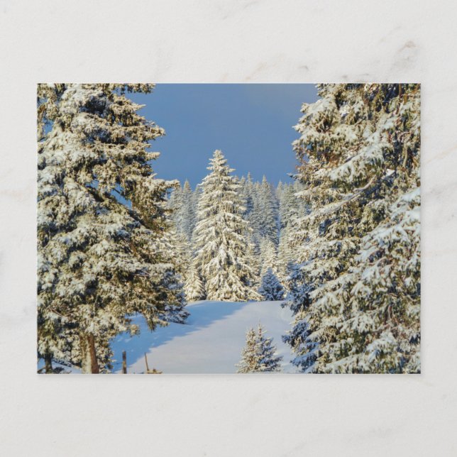 Jura mountain by winter sunset, Switzerland Postcard (Front)