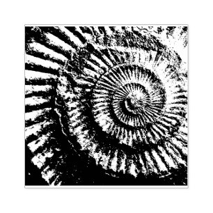 Jurassic ammonite negative imprint rubber stamp