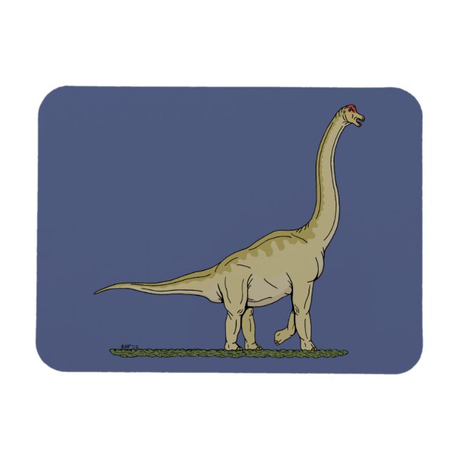 Jurassic Dinosaur Brachiosaurus Magnet (Horizontal)
