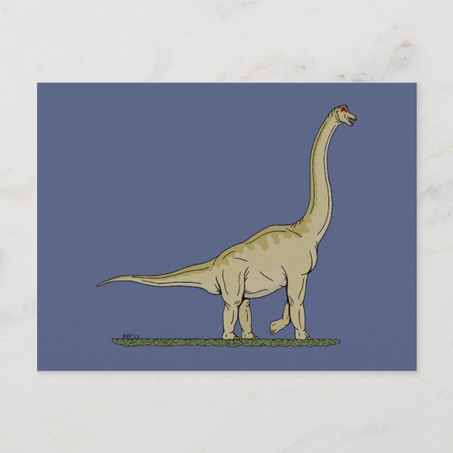 Jurassic Dinosaur Brachiosaurus Postcard (Front)