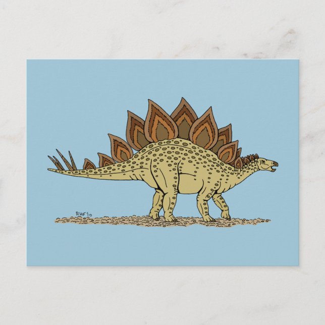 Jurassic Dinosaur Stegosaurus Postcard (Front)