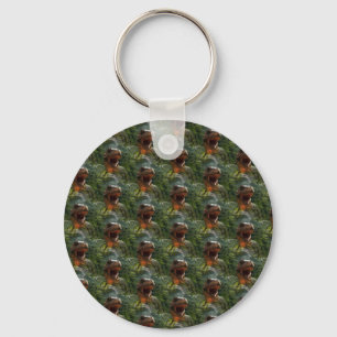 jurassic dinosaurs keychain