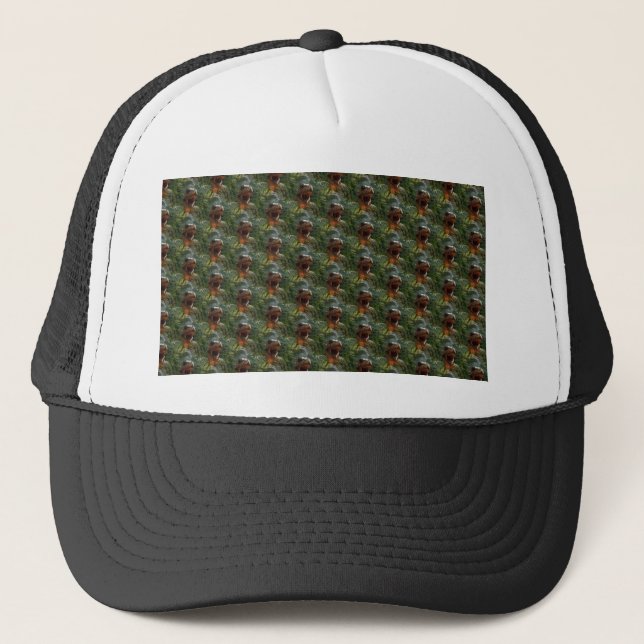 Jurassic dinosaurs trucker hat (Front)