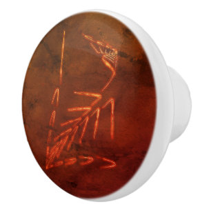 Jurassic Fossil Ceramic Knob