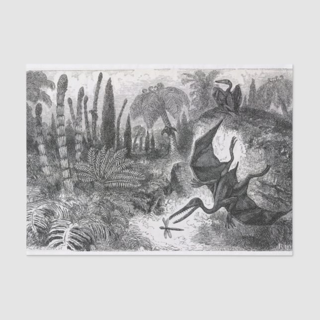 Jurassic Pterodactyls Tissue Paper (Front)