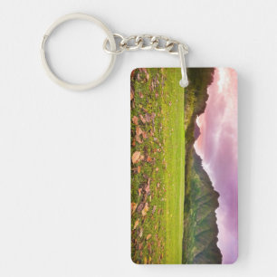 Jurassic Sunset Keychain