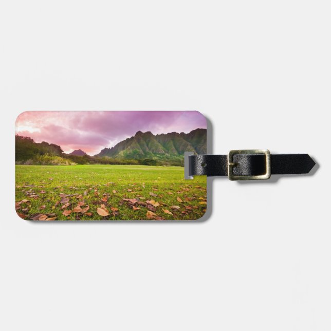 Jurassic Sunset Luggage Tag (Front Horizontal)