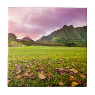 Jurassic Sunset Tile