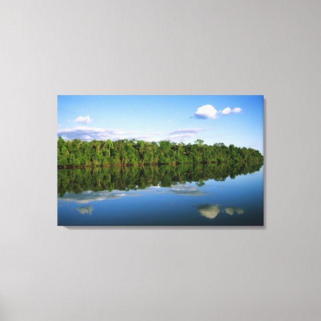 Juruena, Brazil. Forested river bank reflected Canvas Print (Front)