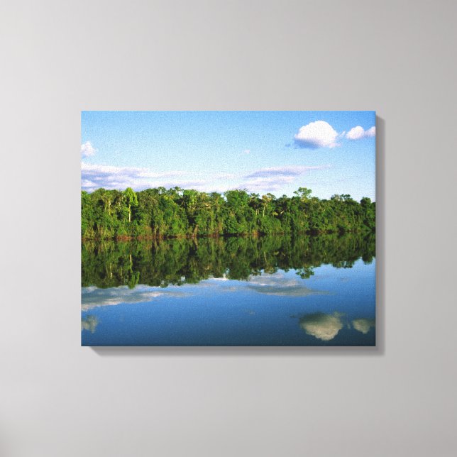 Juruena, Brazil. Forested river bank reflected Canvas Print (Front)