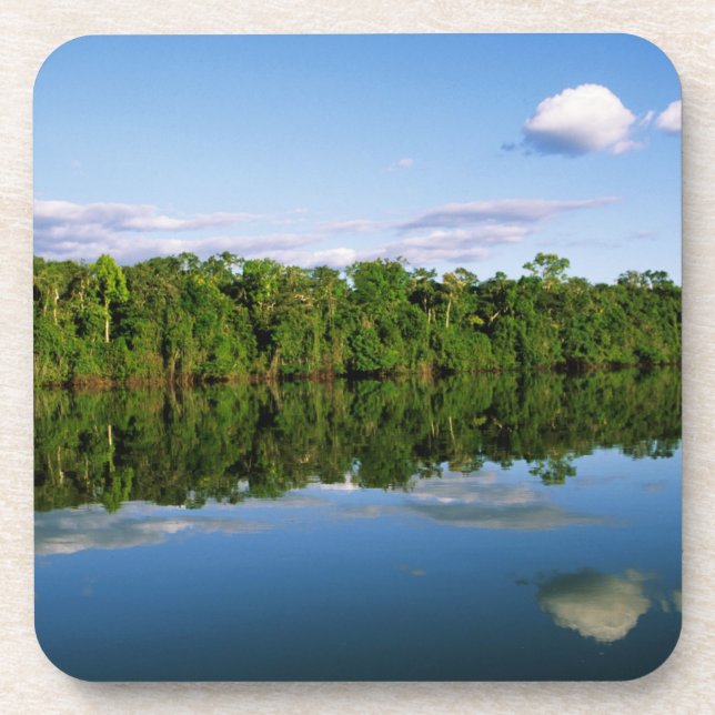 Juruena, Brazil. Forested river bank reflected Coaster (Front)