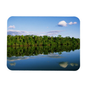 Juruena, Brazil. Forested river bank reflected Magnet