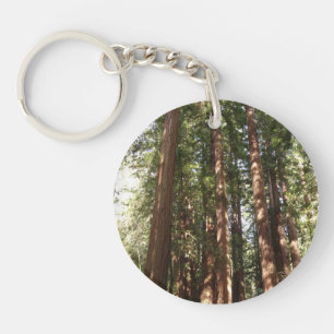 Jusqu'aux séquoias II à Muir Woods National Monume