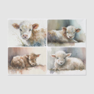 Just a Baby Tissue Paper