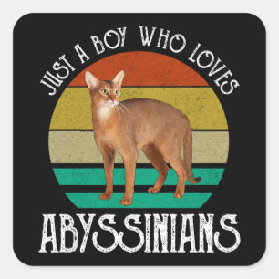 Just A Boy Who Loves Abyssinians Square Sticker