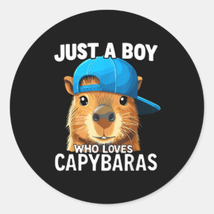 Just A Boy Who Loves Capybaras Classic Round Sticker