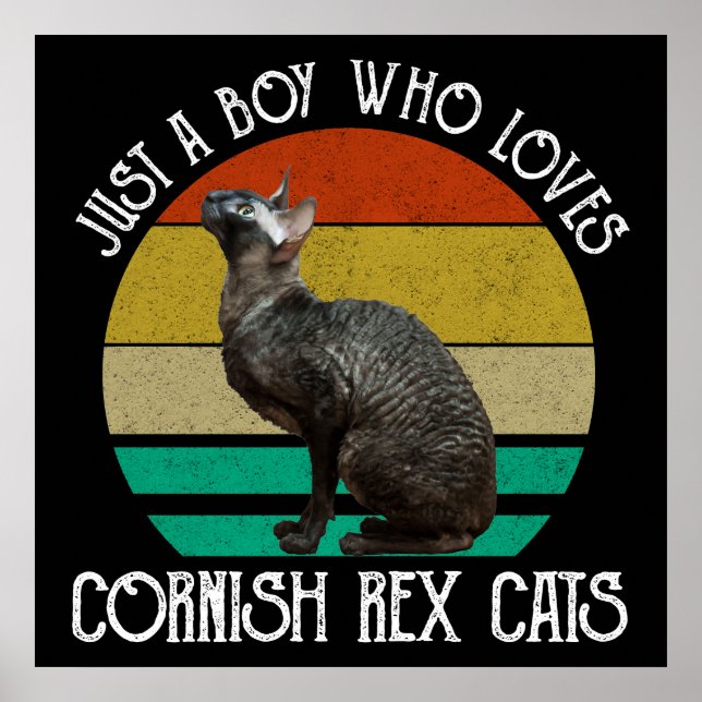 Just A Boy Who Loves Cornish Rex Cats Poster (Front)