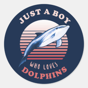 Just A Boy Who Loves Dolphins Classic Round Sticker