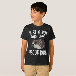 Just A Boy Who Loves Hedgehogs Gift T-Shirt