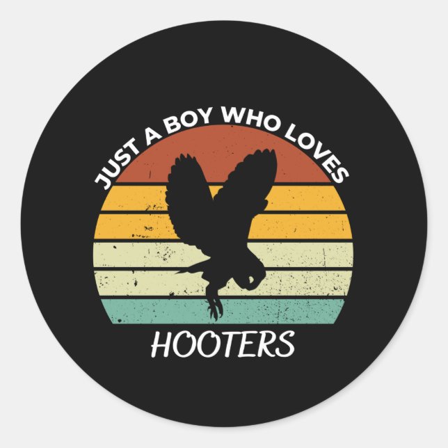 Just a Boy who loves hooters Classic Round Sticker (Front)