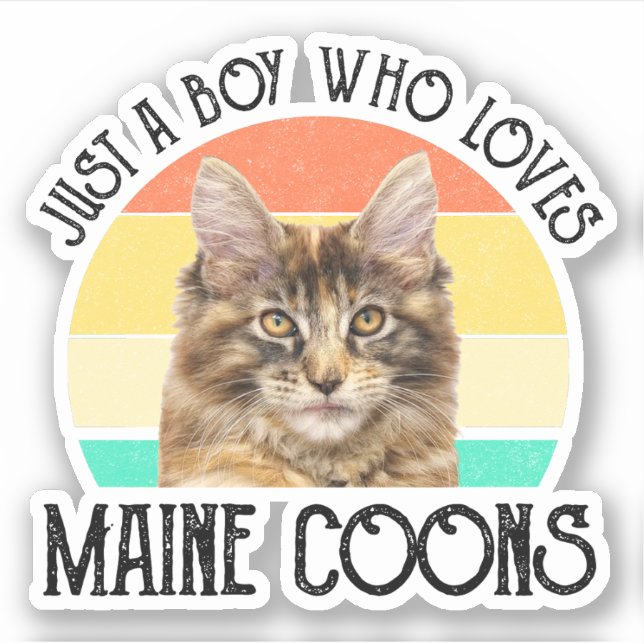 Just A Boy Who Loves Maine Coons (Front)