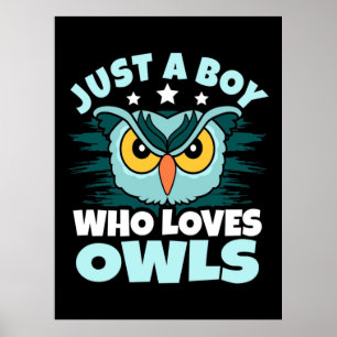 Just A Boy Who Loves Owls Poster