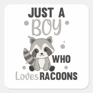 Just A Boy Who Loves Racoons Kawaii Raccoon Square Sticker