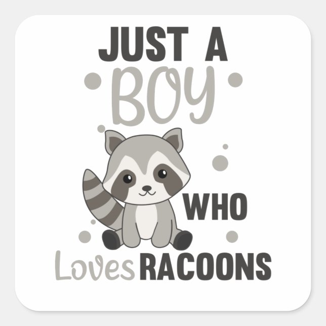 Just A Boy Who Loves Racoons Kawaii Raccoon Square Sticker (Front)