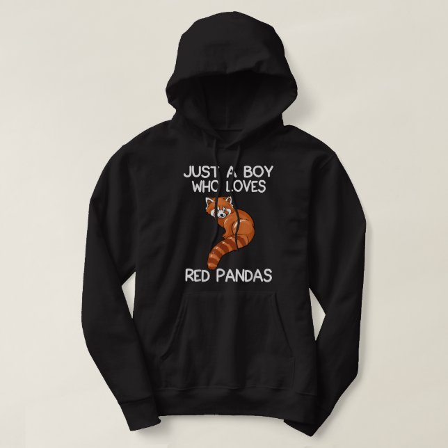 Just A Boy Who Loves Red Pandas Gift Red Panda  Hoodie (Design Front)