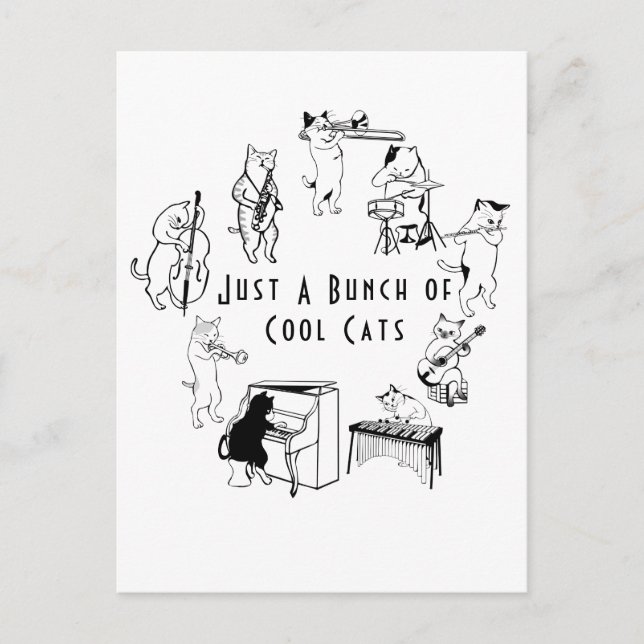 Just A Bunch of Cool Cats Postcard (Front)