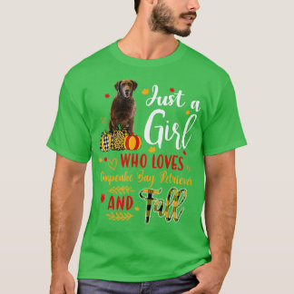 Just A Girl Who Loves Chesapeake Retriever And Fal T-Shirt