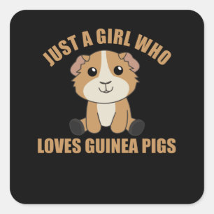 Just A Girl who Loves Guinea Pigs - Sweet Guinea Square Sticker