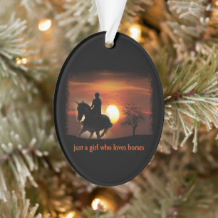 just a girl who loves horses ornament