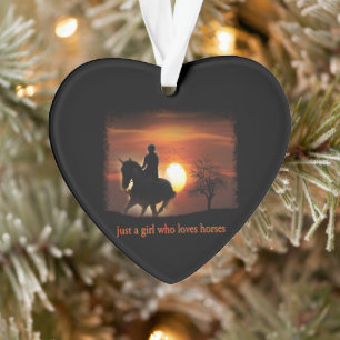 just a girl who loves horses ornament