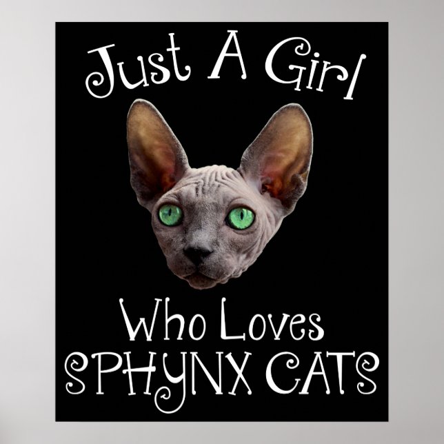Just A Girl Who Loves Sphynx Cats Poster (Front)