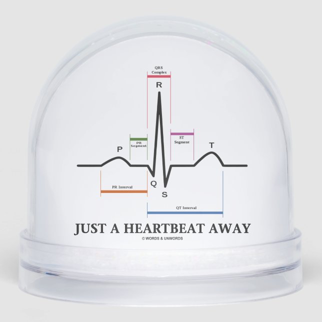 Just A Heartbeat Away Electrocardiogram EKG Humor Snowglobe (Front)