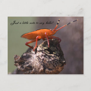 Just a little note to say hello! postcard