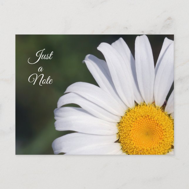 Just a Note Offset Daisy Postcard (Front)