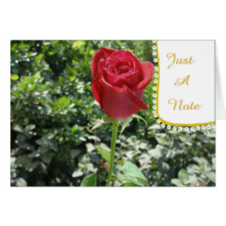 Just-A-Note Red Rose Bud Blank Card