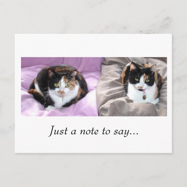 Just a note to say... postcard (Front)