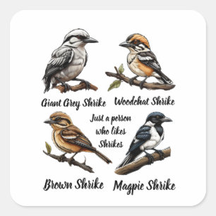 just a person who likes shrikes  square sticker