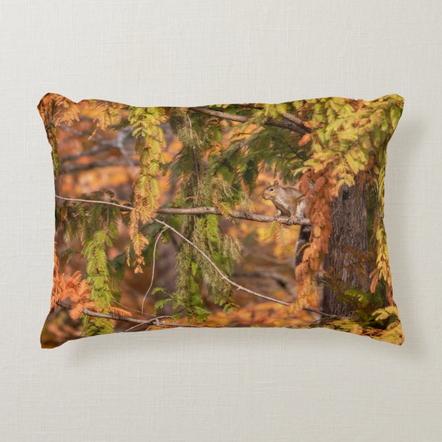 Just A Squirrel In The Woods Accent Pillow (Front)