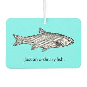 Just an ordinary fish air freshener