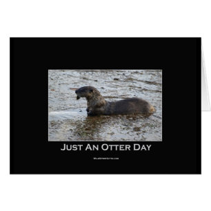 Just an Otter Day Gifts