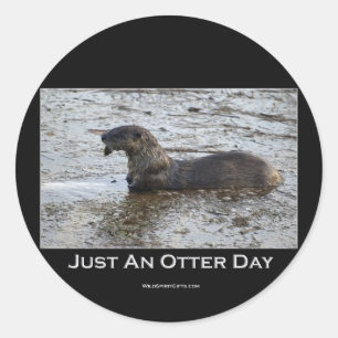 Just an Otter Day Gifts Classic Round Sticker